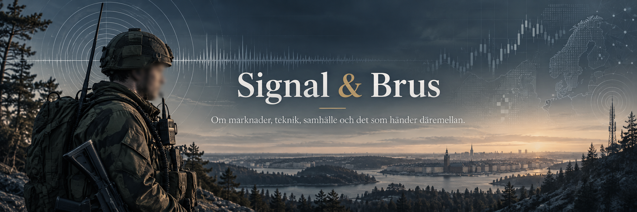 Signalist med suddat ansikte framför skärgårdsvy. Signal & Brus — om marknader, teknik och samhälle.